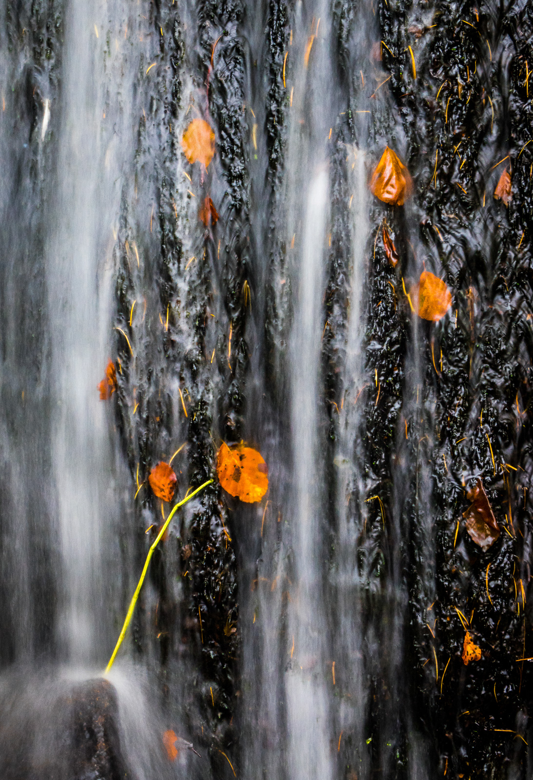 Hardcastle Crags VIII - Bill Ward Photography