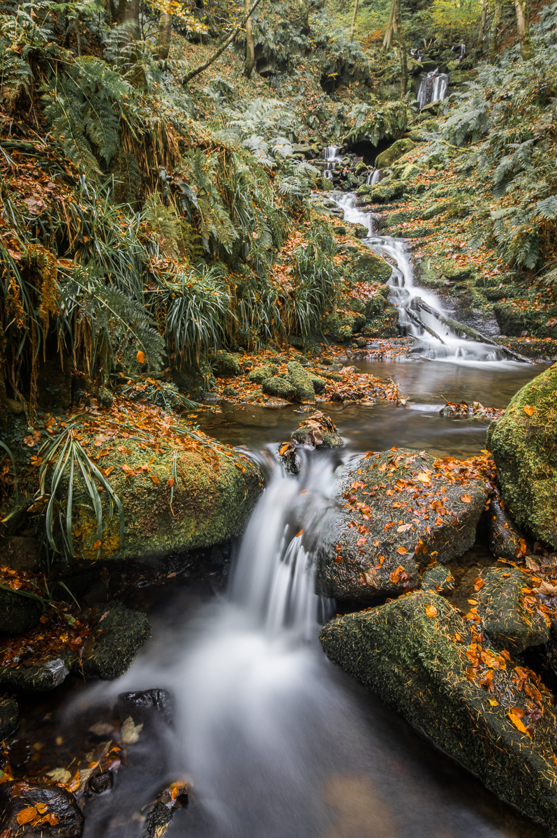 Hardcastle Crags XI - Bill Ward Photography