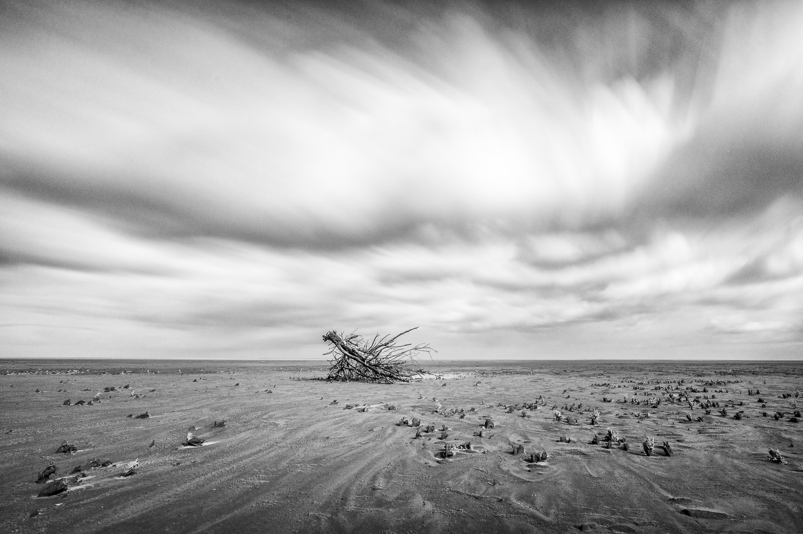 Horseshoe Point - Bill Ward Photography