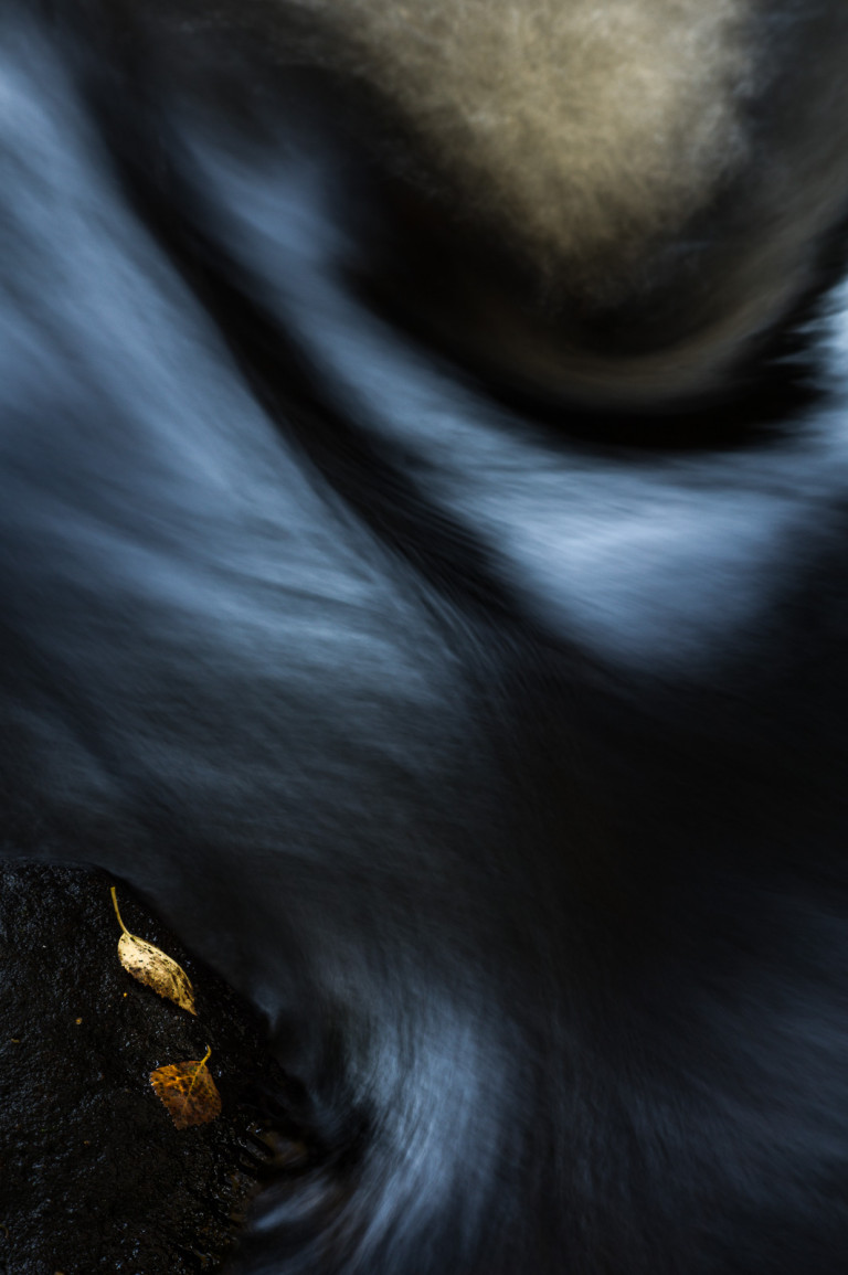 Cragg Vale, Leaf, Reflections