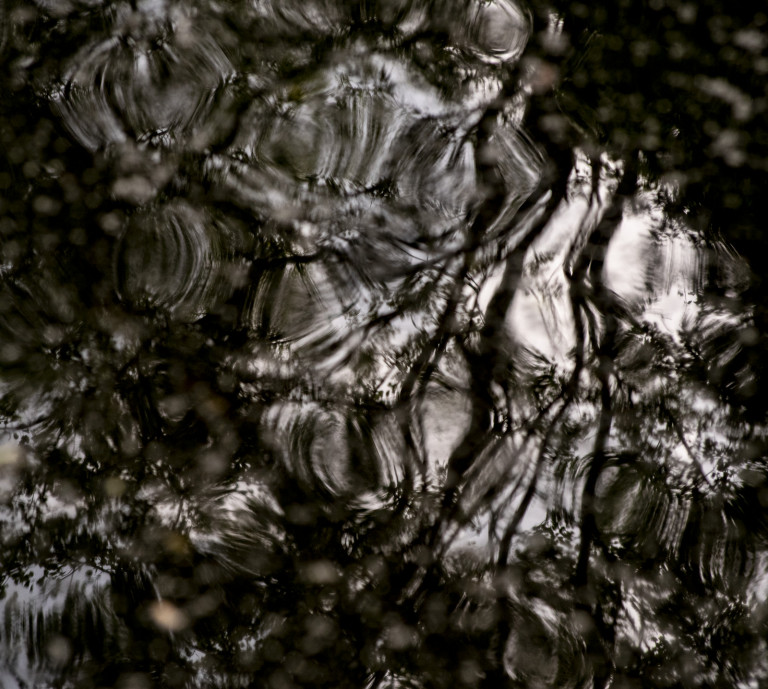 Water Reflections, Milton Keynes