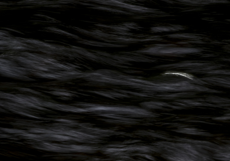 Detail, Water of Leith